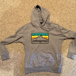 Mens Patagonia Organic Cotton Hoodie